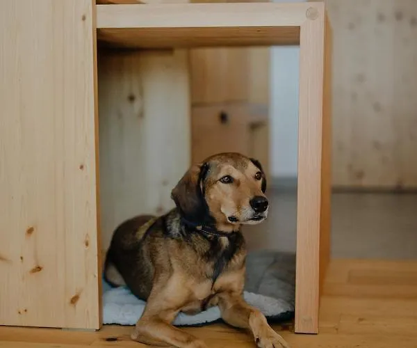 Thalers Mariandl Otel